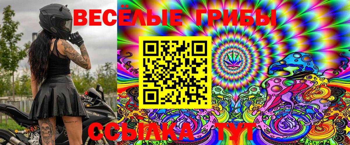 Галлюциногенные грибы мицелий  Галлюциногенные грибы Cubensis  купить наркотики цена  Вход с VPN  Оренбург 