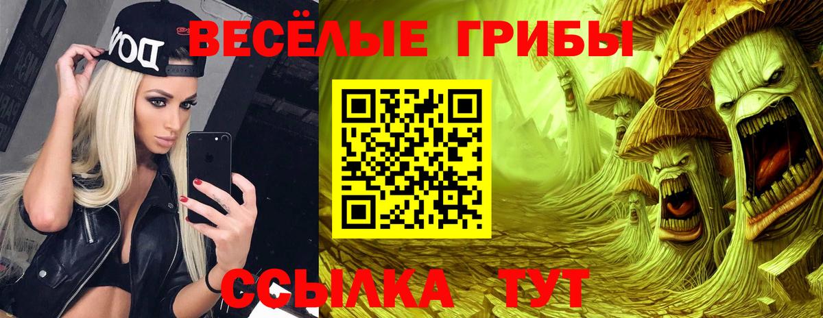 COCAIN  ГАШ  MDMA  МЕФ   Каннабис  Вейп ТГК  Оренбург  Вход с VPN  Амфетамин кристаллы 