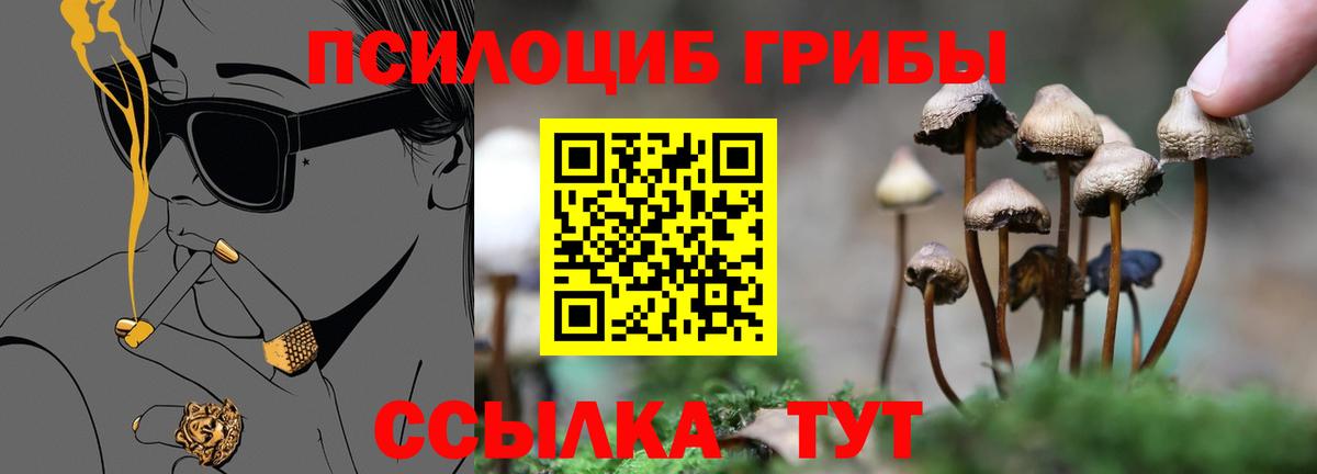 Галлюциногенные грибы прущие грибы Оренбург